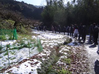 観光農園あたりの雪道