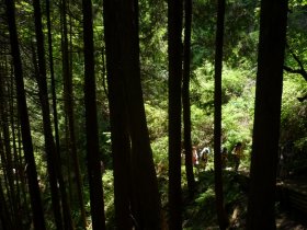 疲れた・・・山上はまだか