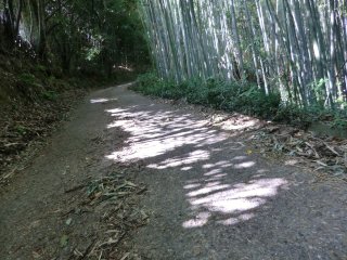 打田へ向かう峠