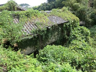 蔦の絡まる廃屋