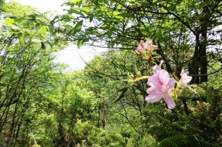 南東方向の眺望