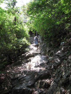 第６３番　吉祥寺