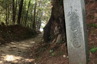 山邊道　石柱