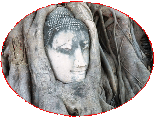 ワット・プラ・マハタート寺院跡の仏頭