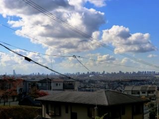 環境センターからの眺望