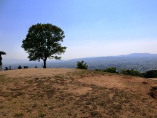 若草山山頂の眺望