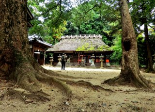 夜都伎神社（やとぎじんじゃ）