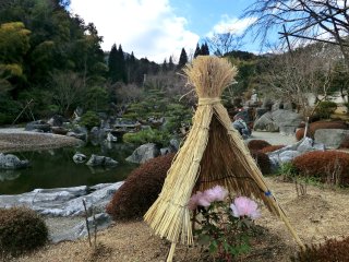 奥の院　寒牡丹