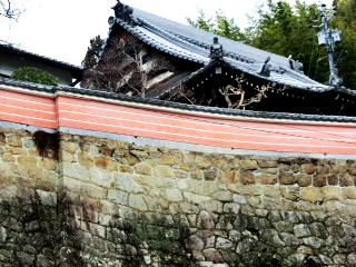 専光寺と石垣