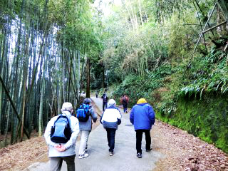 東畑集会所から鳥谷池へ