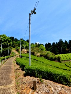 急な坂を上って・・・