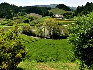 太安萬侶墓から振り返ると