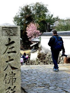 二月堂裏参道のモクレン