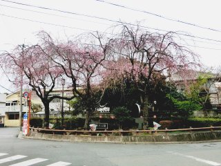 大仏鉄道記念公園