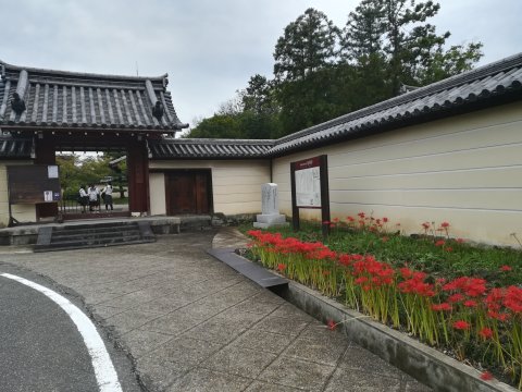 法華寺