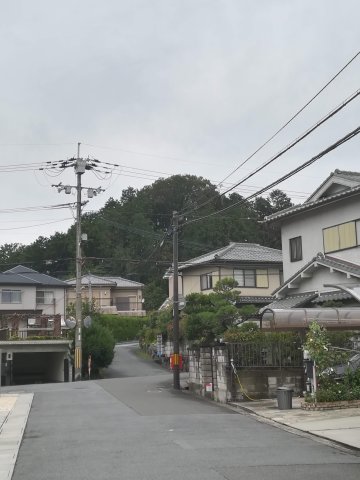 大山守命那羅山墓
