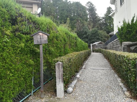 大山守命那羅山墓