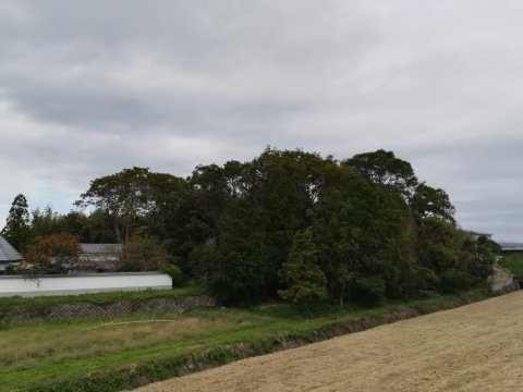 祝園神社柞ノ森