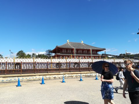 興福寺中金堂落慶法要