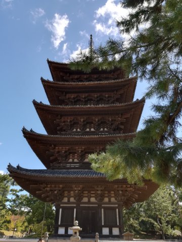 興福寺五重の塔