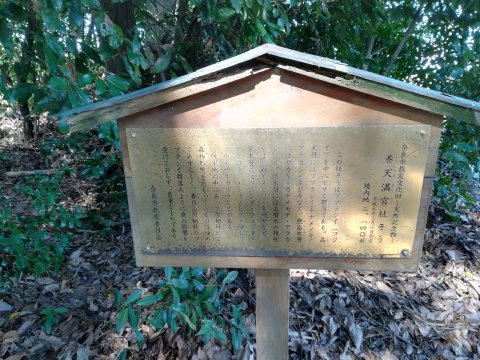 養天満宮社そう