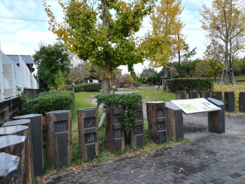 畑の前公園遺跡の杜