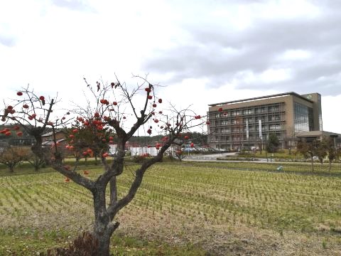 精華町役場庁舎