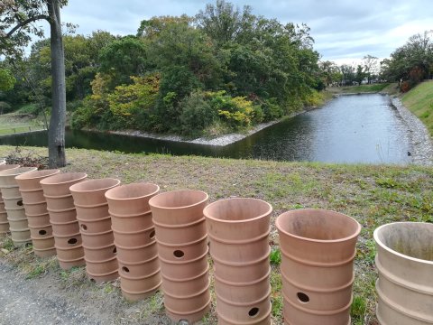 今城塚古墳前方部水内濠