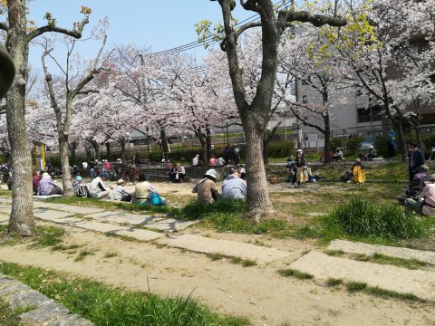 伝法公園