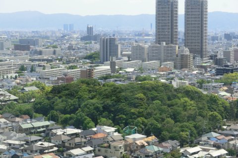 堺市役所21階展望ロビー（反正天皇陵）