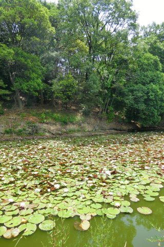 永山古墳(仁徳天皇陵陪塚)