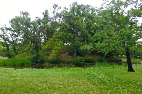 孫太夫山古墳(仁徳天皇陵陪塚)