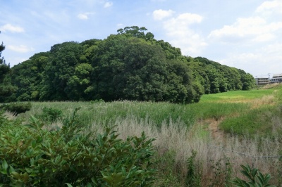 第19代允恭天皇 恵我長野北陵