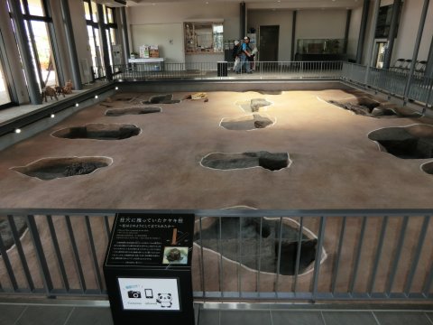 遺構展示情報館