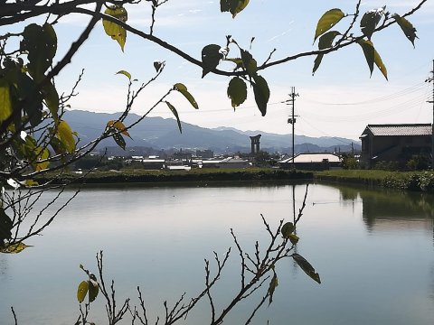 大神神社の大鳥居
