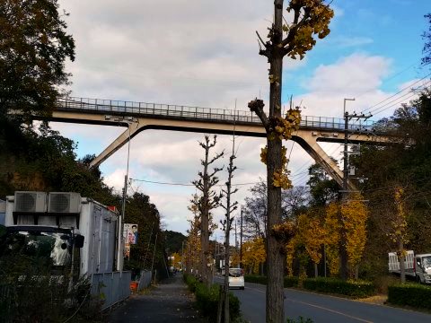 黒髪山トンネル跡