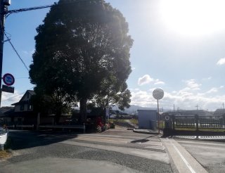 木津駅通り-白山宮