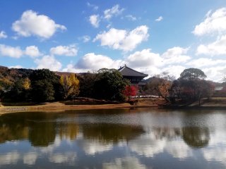 大仏池から東大寺を望む