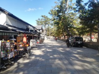 東大寺参道