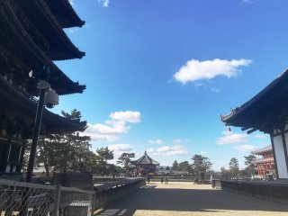 法相宗大本山 興福寺