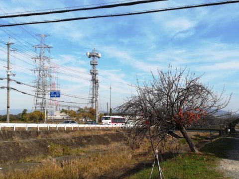 木津川自転車道へ