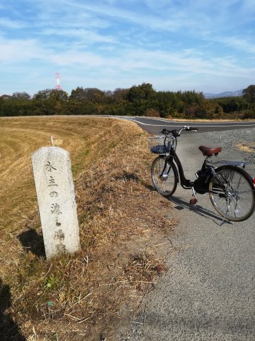自転車道