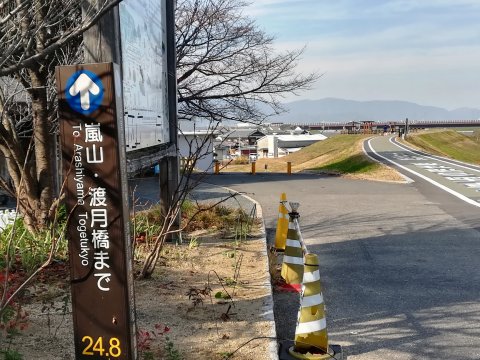 この先背割堤から嵐山へ