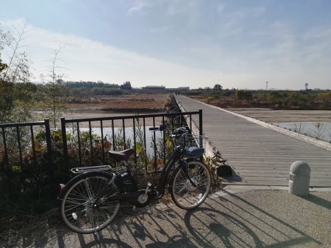 流れ橋を渡って