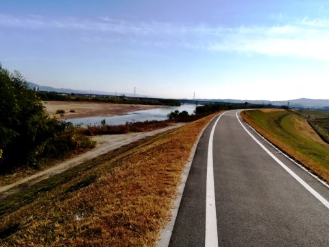 自転車道帰り
