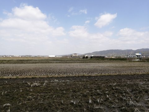 むくのきセンターを望む