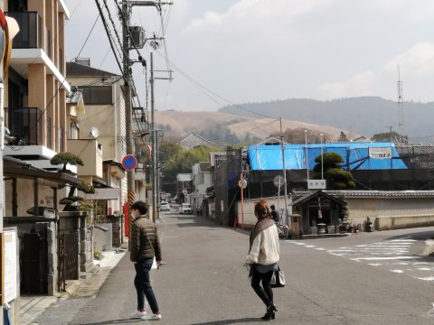 若草山と大仏殿大屋根