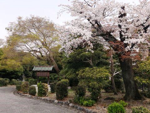 天智天皇山科陵　御廟野古墳