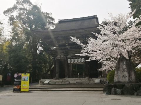 園城寺三井寺