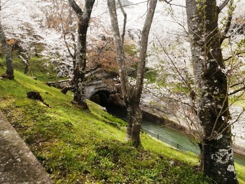 琵琶湖第一疏水大津取水口